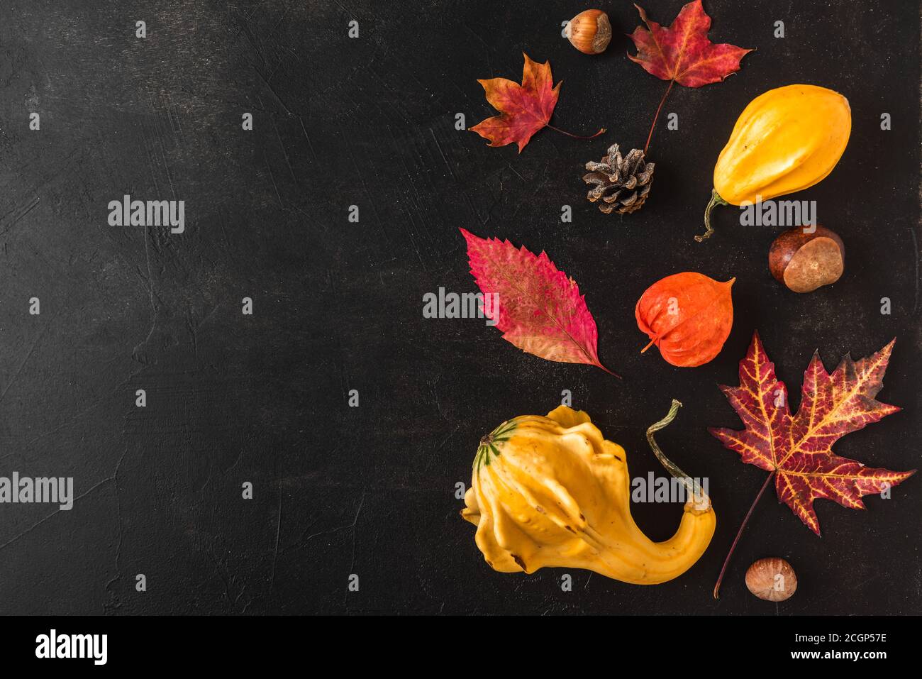 Autumn or thanksgiving background. Fall leaves, flowers, pumpkins and nuts on black background. Flat lay, top view with copy space Stock Photo