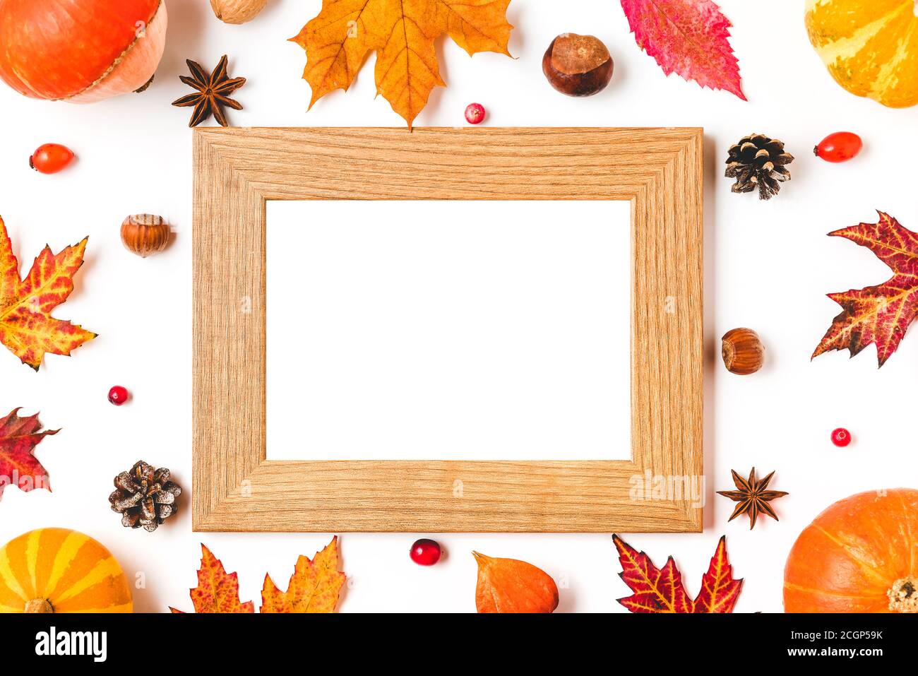 Blank photo card mock up in frame made of autumn leaves, pumpkins, nuts and berries on white background. mock up. flat lay. Autumn or Thanksgiving com Stock Photo