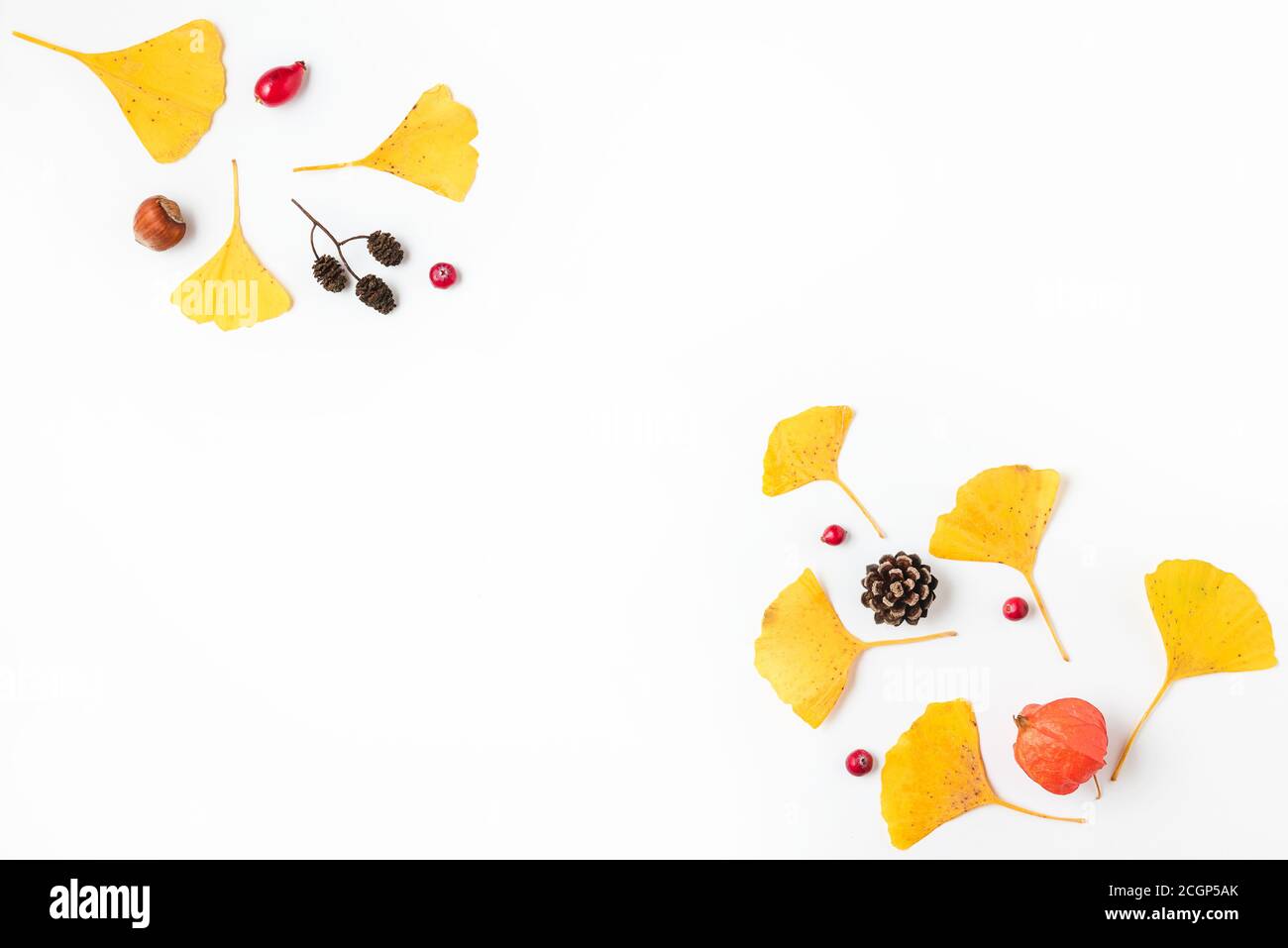 Autumn composition. Yellow fall leaves of Gingko biloba with physalis flower, berries and cones isolated on white background. flat lay. top view with Stock Photo