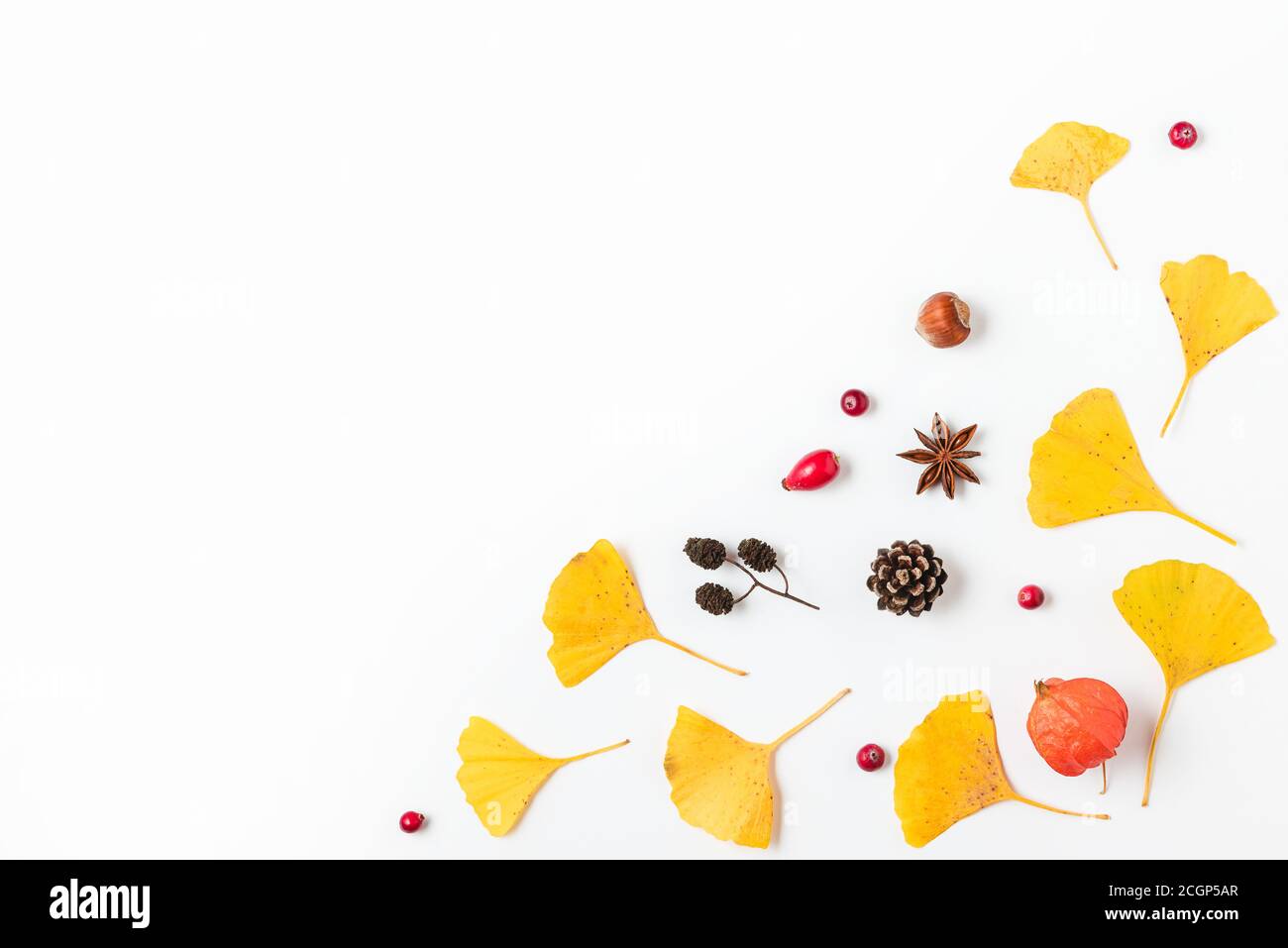 Autumn background. Yellow fall leaves of Gingko biloba with physalis flower, berries and cones isolated on white background. flat lay. top view with c Stock Photo