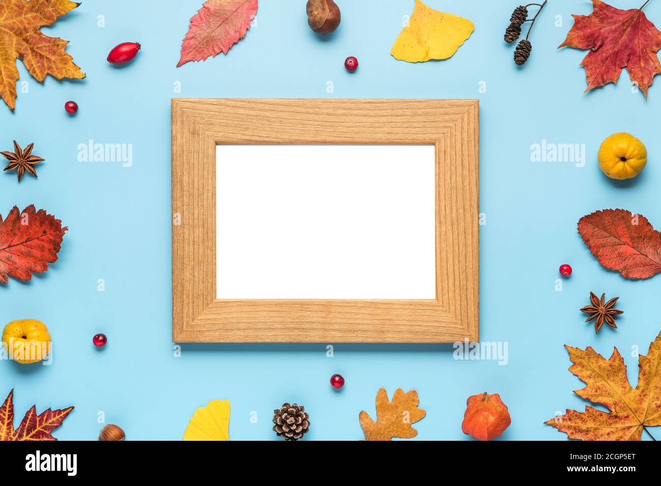 Thanksgiving autumn photo frame. Dried leaves, flowers, nuts, berries on blue background. Flat lay, mock up. top view with copy space Stock Photo