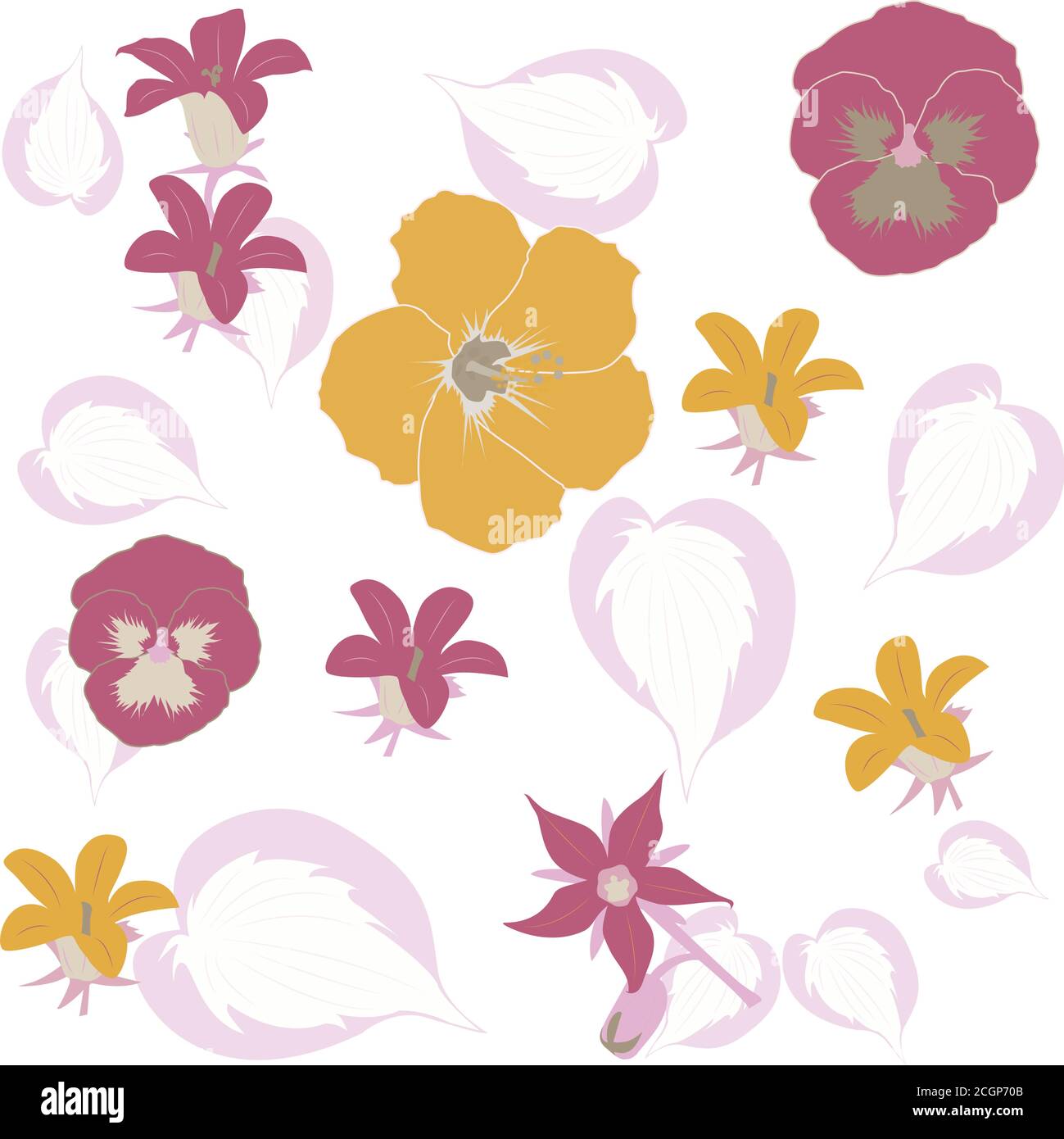 Beautiful and colorful flowers seamless pattern Stock Vector Image ...