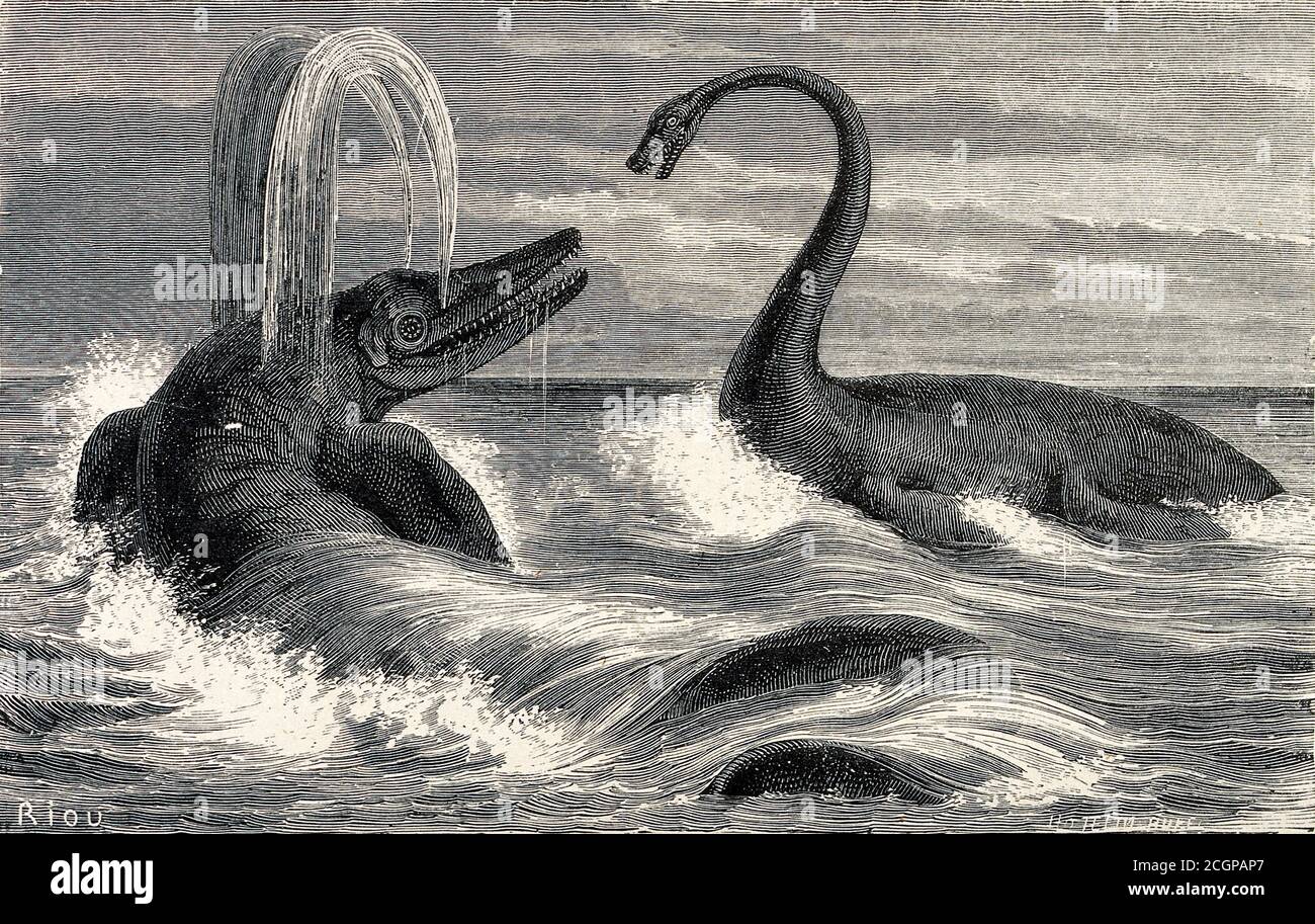An ideal scene of the Lias period with two sauropods in the sea. Wood ...
