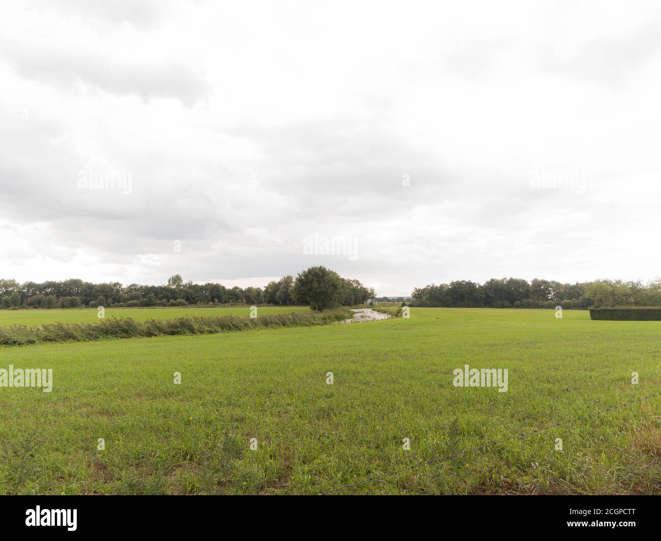 An agricultural field near Doetinchem, The Netherlands Stock Photo