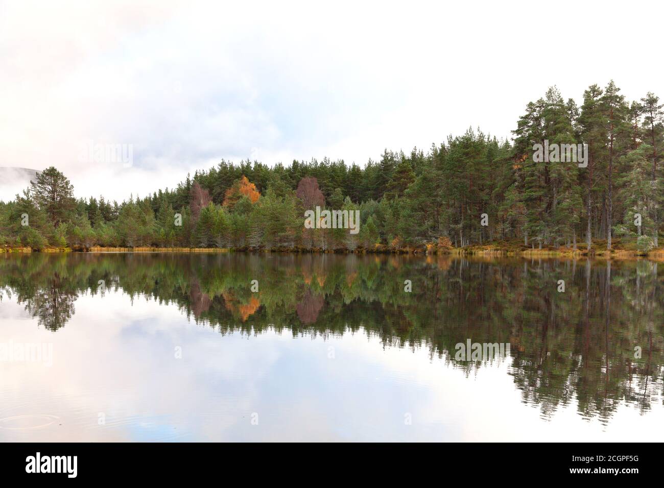 Cairngorms National Park: Uath Lochan in autumn, Kincraig, Scotland, UK Stock Photo