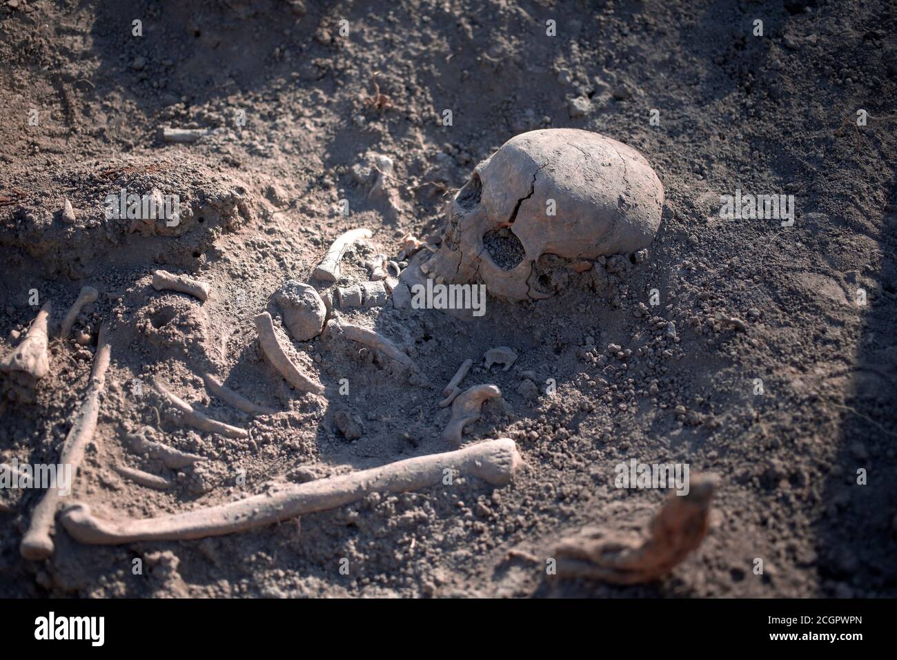 Serbia, September 27, 2019: Human remains from the Roman period discovered during archaeological excavations in Vinča Stock Photo