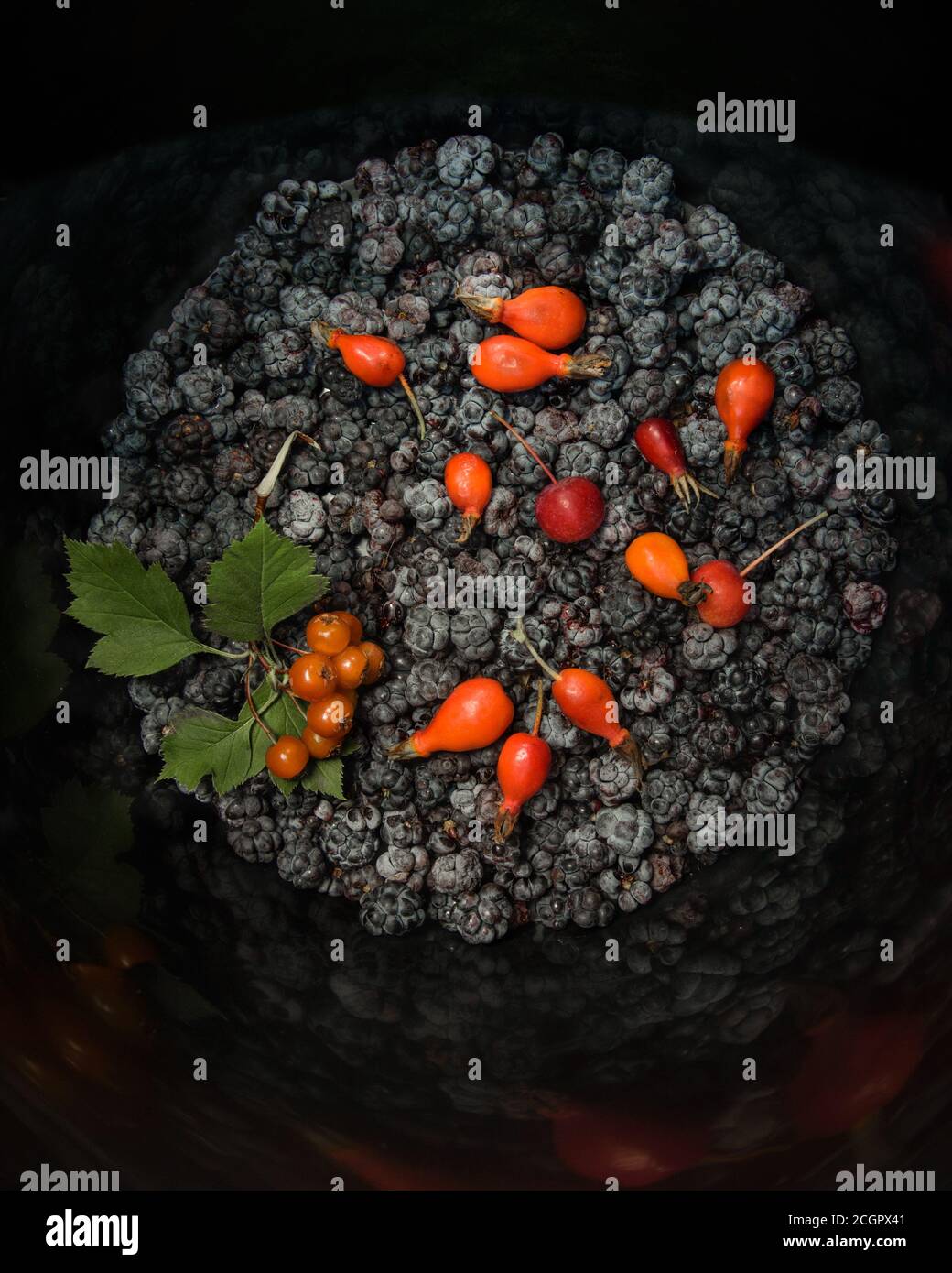 still life of blackberry berries, rosehip, buckthorn, potassium