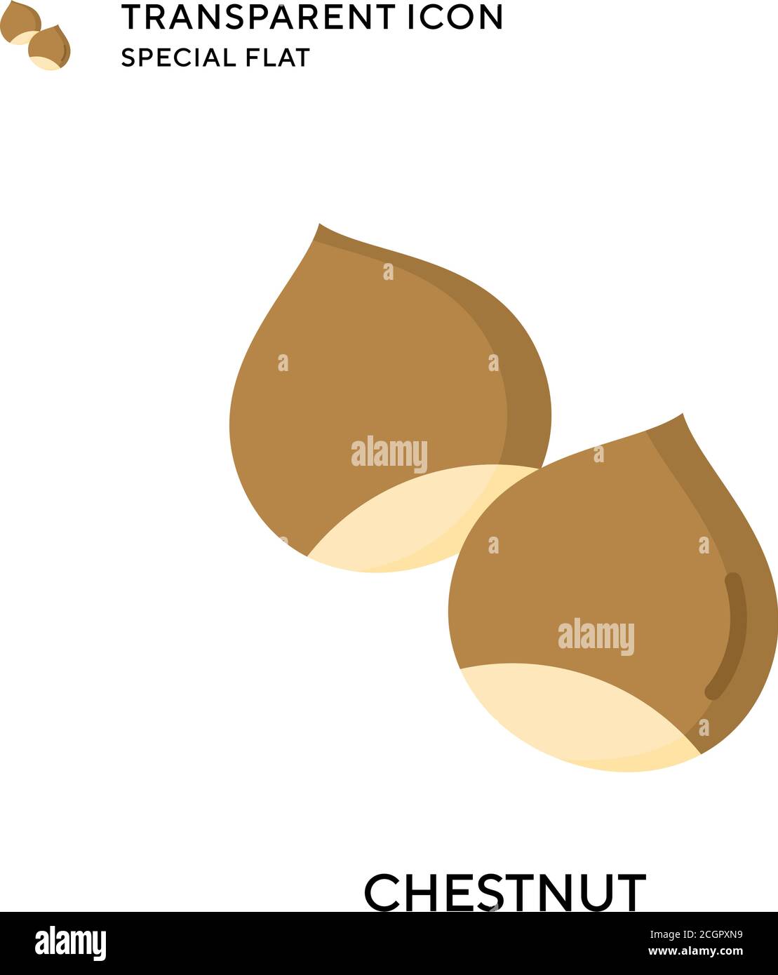 Brown nut of horse chestnut tree Stock Vector Images Alamy