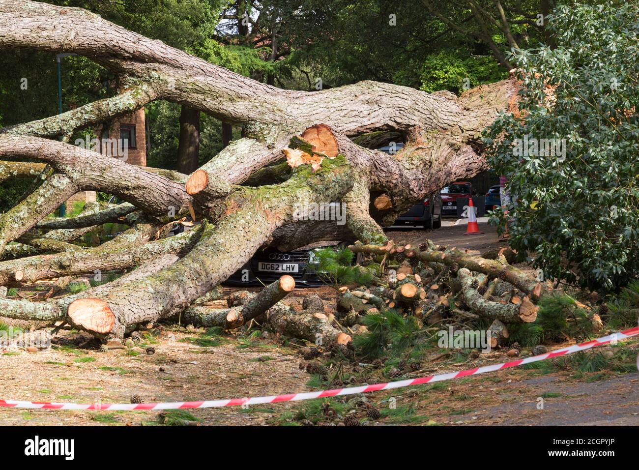 Bournemouth, Dorset UK. 12th September 2020. A large tree fell crushing several cars yesterday evening in Chine Crescent Road, Bournemouth. Fortunately no one was reported hurt during the fall, but unconfirmed reports today from one of the nearby residents that a tree recovery person was taken to hospital after a helicopter landed nearby - details not able to be verified. The road remains closed today. Update - ITV report that a tree surgeon was seriously injured while clearing the debris and airlifted to Southampton Hospital. Credit: Carolyn Jenkins/Alamy Live News Stock Photo