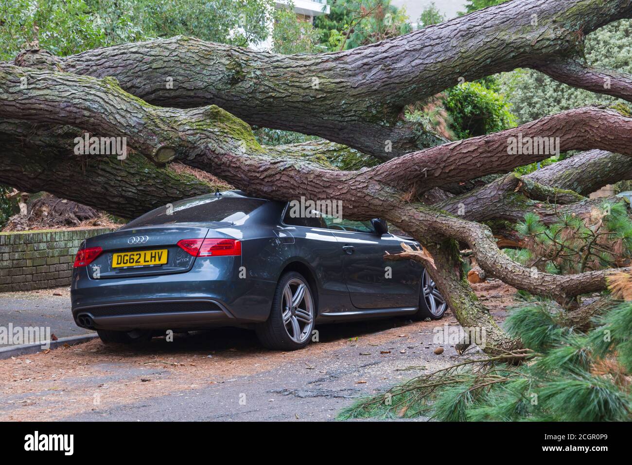 Bournemouth, Dorset UK. 12th September 2020. A large tree fell crushing several cars yesterday evening in Chine Crescent Road, Bournemouth. Fortunately no one was reported hurt during the fall, but unconfirmed reports today from one of the nearby residents that a tree recovery person was taken to hospital after a helicopter landed nearby - details not able to be verified. The road remains closed today. Update - ITV report that a tree surgeon was seriously injured while clearing the debris and airlifted to Southampton Hospital. Credit: Carolyn Jenkins/Alamy Live News Stock Photo
