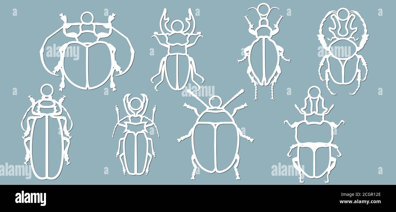 Set beetle paper. Laser cut. Set template for laser cutting and Plotter.  Vector illustration. Pattern for the laser cut, plotter and screen printing  Stock Vector Image & Art - Alamy
