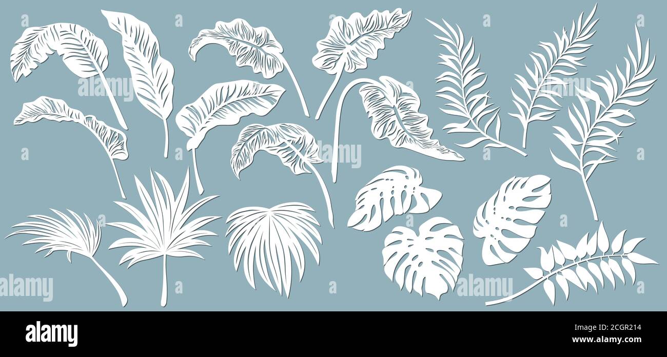 Set template for cutting. Palm leaves pattern. Laser cut. Vector illustration.. Stock Vector