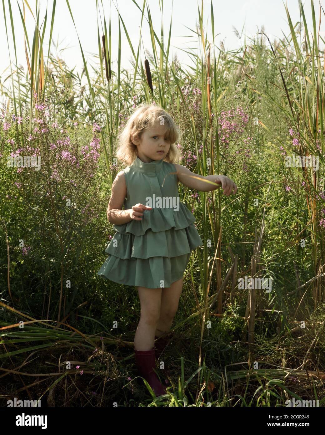 Little girl in green dress in high grass Stock Photo - Alamy