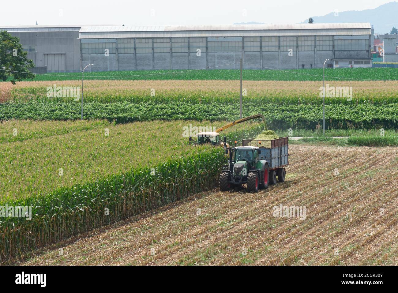 Combine harvester and tractor used in corn harvesting Stock Photo Alamy
