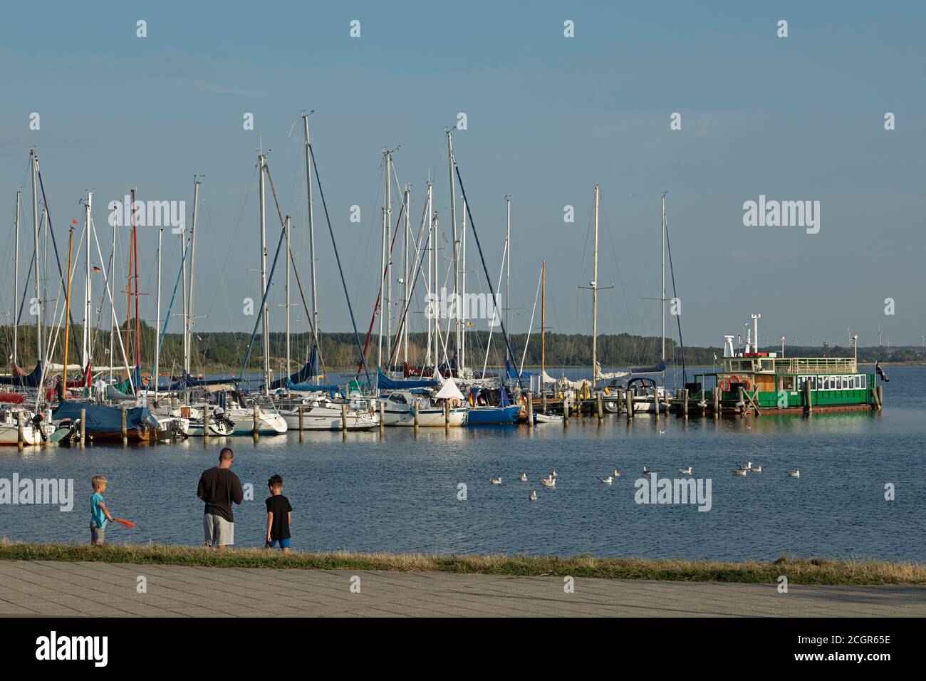 marina, Rerik, Mecklenburg-West Pomerania, Germany Stock Photo