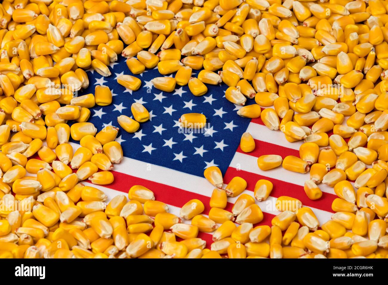 Flag of United States of America covered in corn kernels. Concept of American agriculture imports, exports, ethanol, trade war, agreement and tariffs. Stock Photo