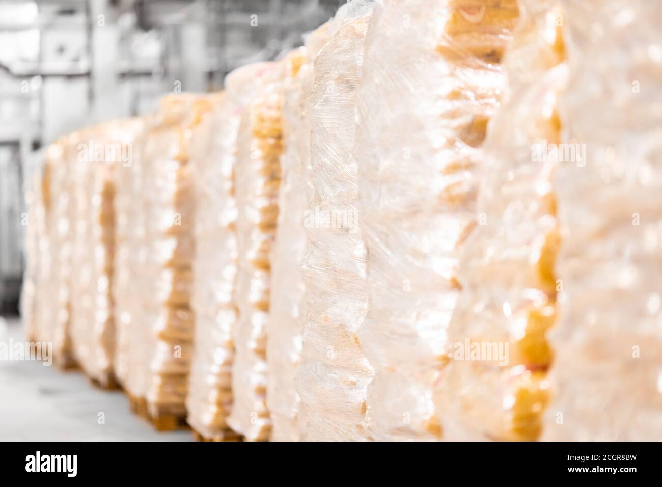 Pasta manufacturing automatic conveyor, drying and bagging for sale Stock Photo
