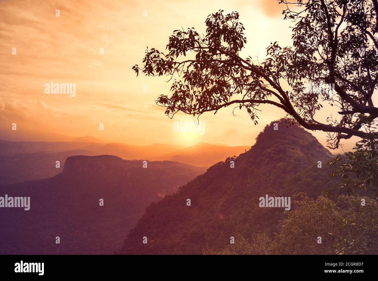 MOUNTAIN RANGES OF PACHMARHI , SATPURA IN THE CENTRAL PART OF INDIA