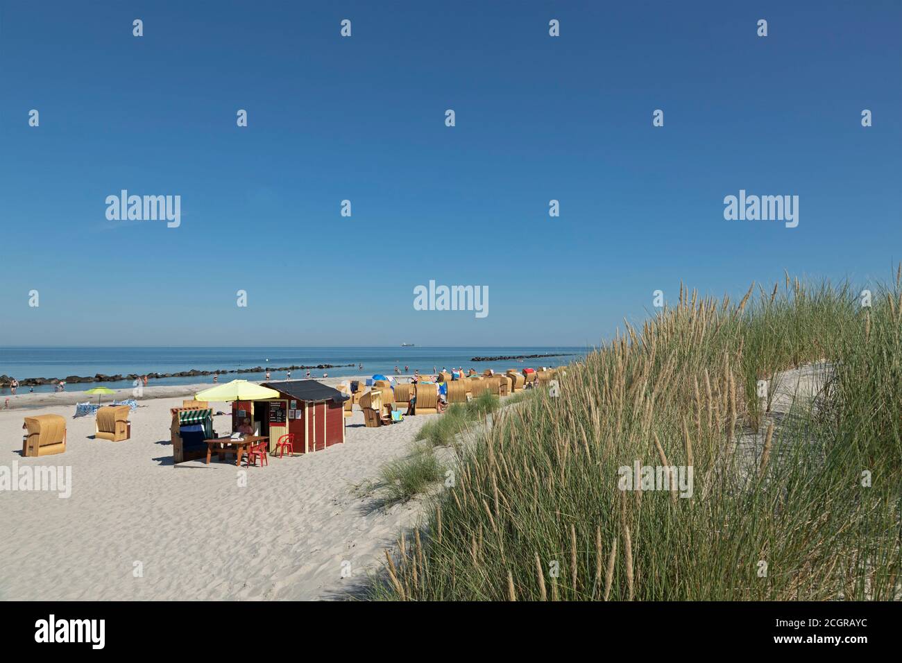 beach, Ammophila arenaria, sand dunes, Wustrow, Mecklenburg-West Pomerania, Germany Stock Photo