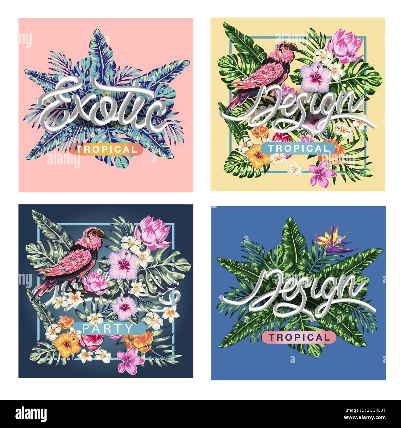 tropical collection with exotic flowers and leaves vector design ...