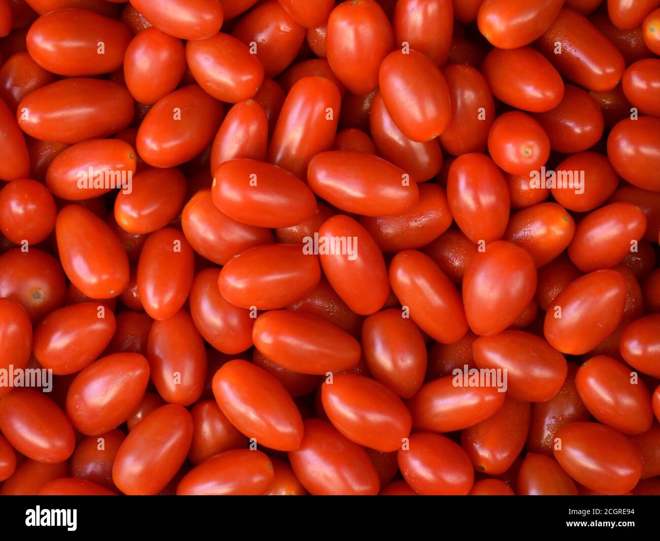 Roma Tomato Or Italian Plum Tomatoes And Pear Tomato Stock Photo Alamy