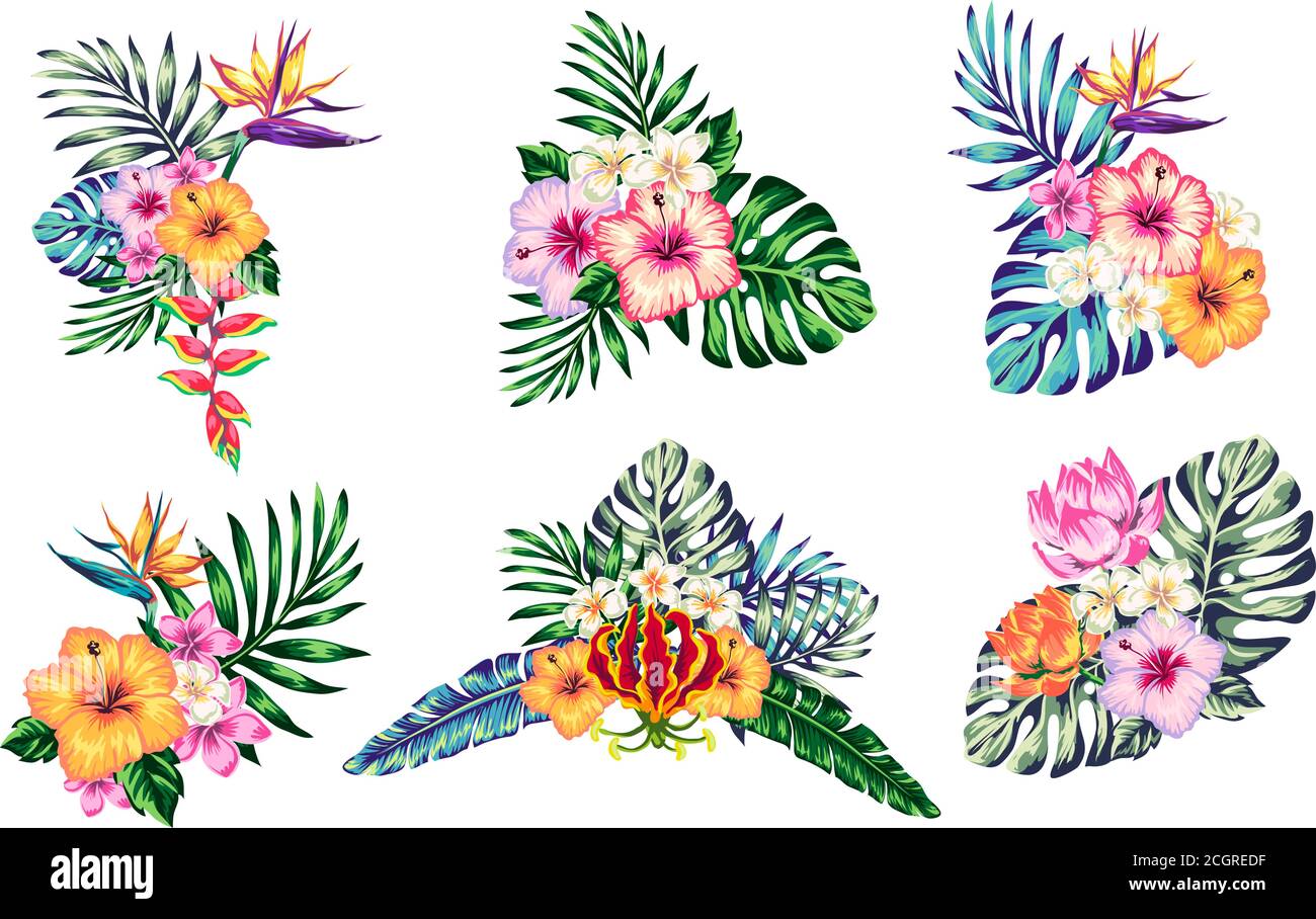 tropical composition from flowers leaves of polma hibiscus and elements for your design on a white background. template for stories and illustration s Stock Vector