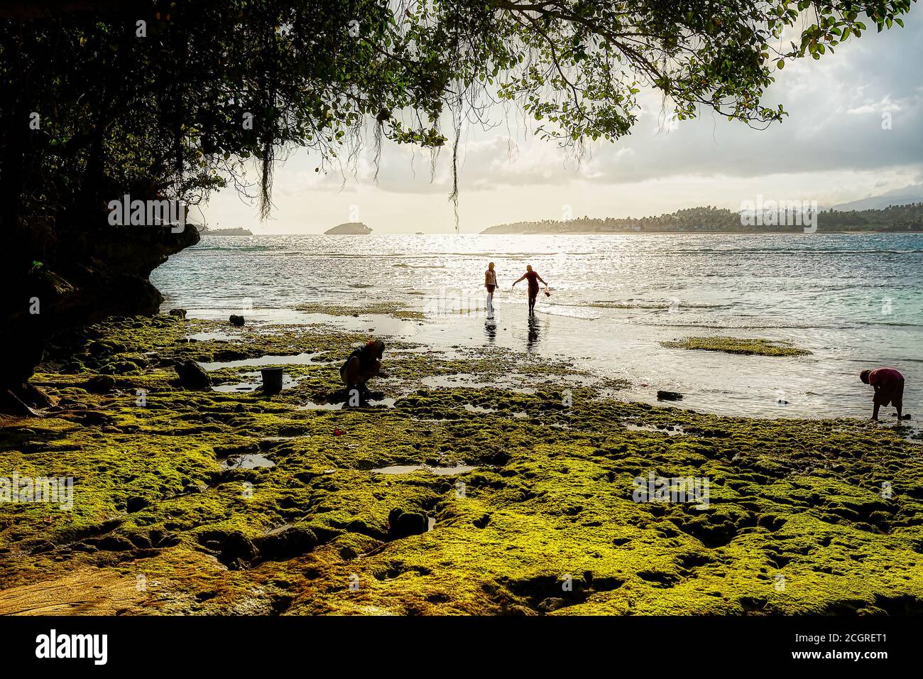 Local people of Boracay island, Aklan, Philippines, collecting seafood ...