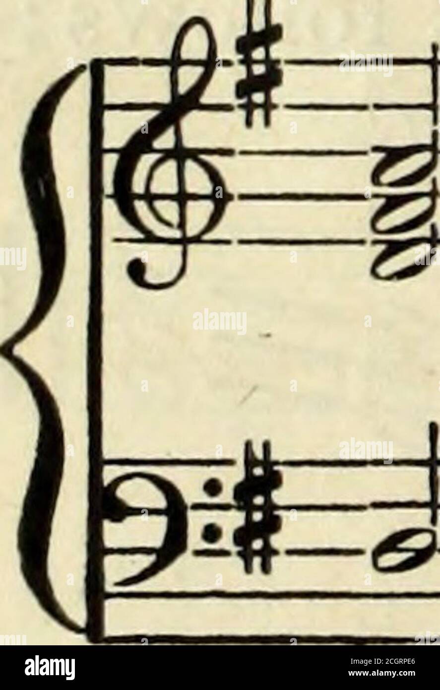 Zz Root High Resolution Stock Photography And Images Alamy