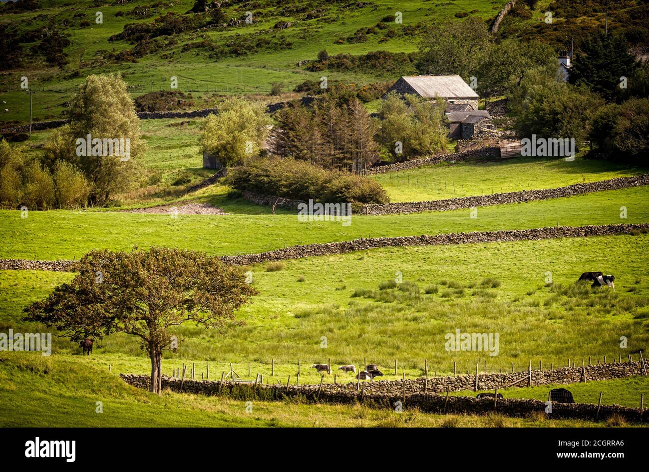 Lads Head Farm above the Crake Valley from the Lowick Beacon road Stock