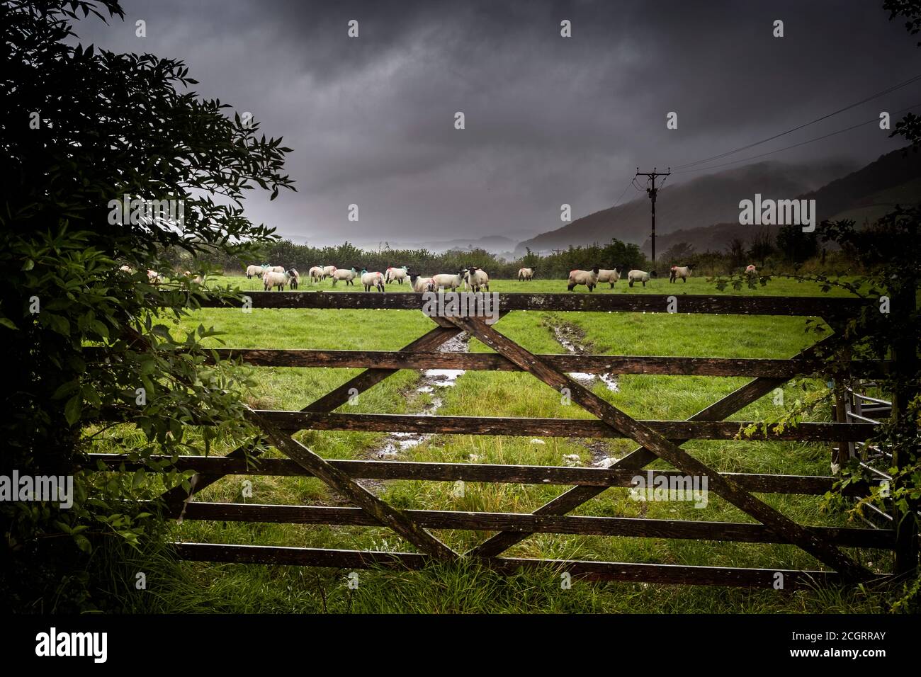 A wet day in the Crake Valley Stock Photo