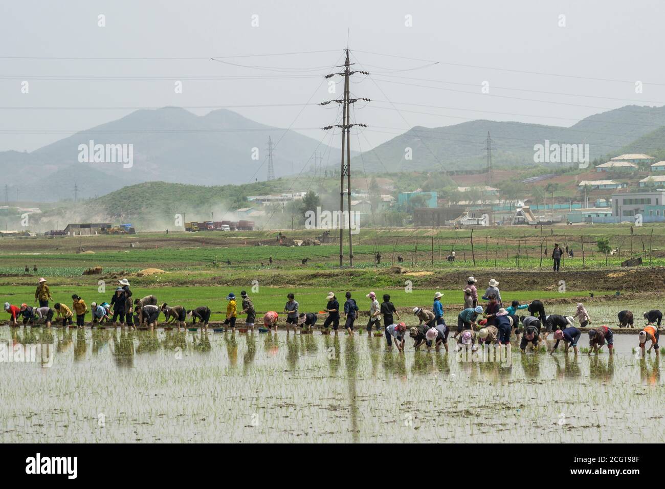 Agriculture in North Korea Stock Photo