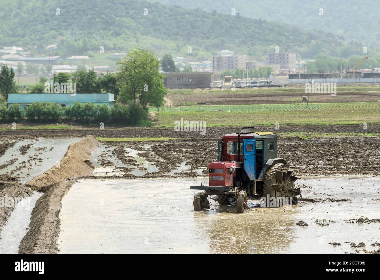 Agriculture in North Korea Stock Photo