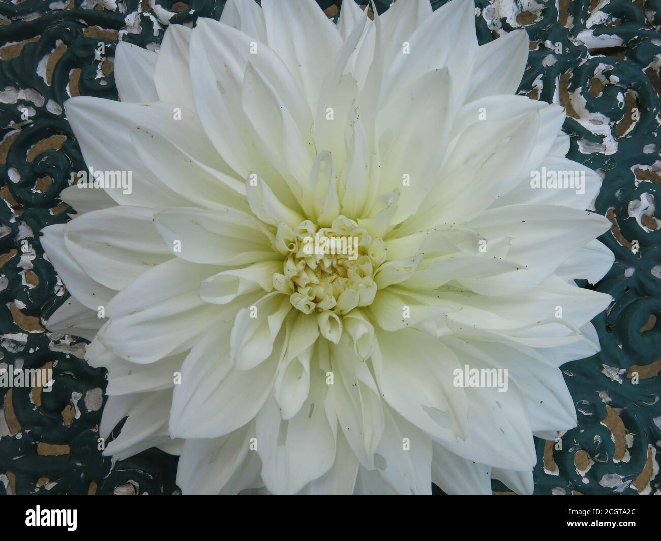 Inner Strength High Resolution Stock Photography and Images - Alamy