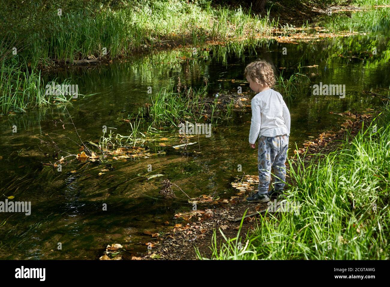 A small male Caucasian child gazing with interest at the river Slea in Sleaford Lincolnshire from its banks near Cogglesford mill Stock Photo