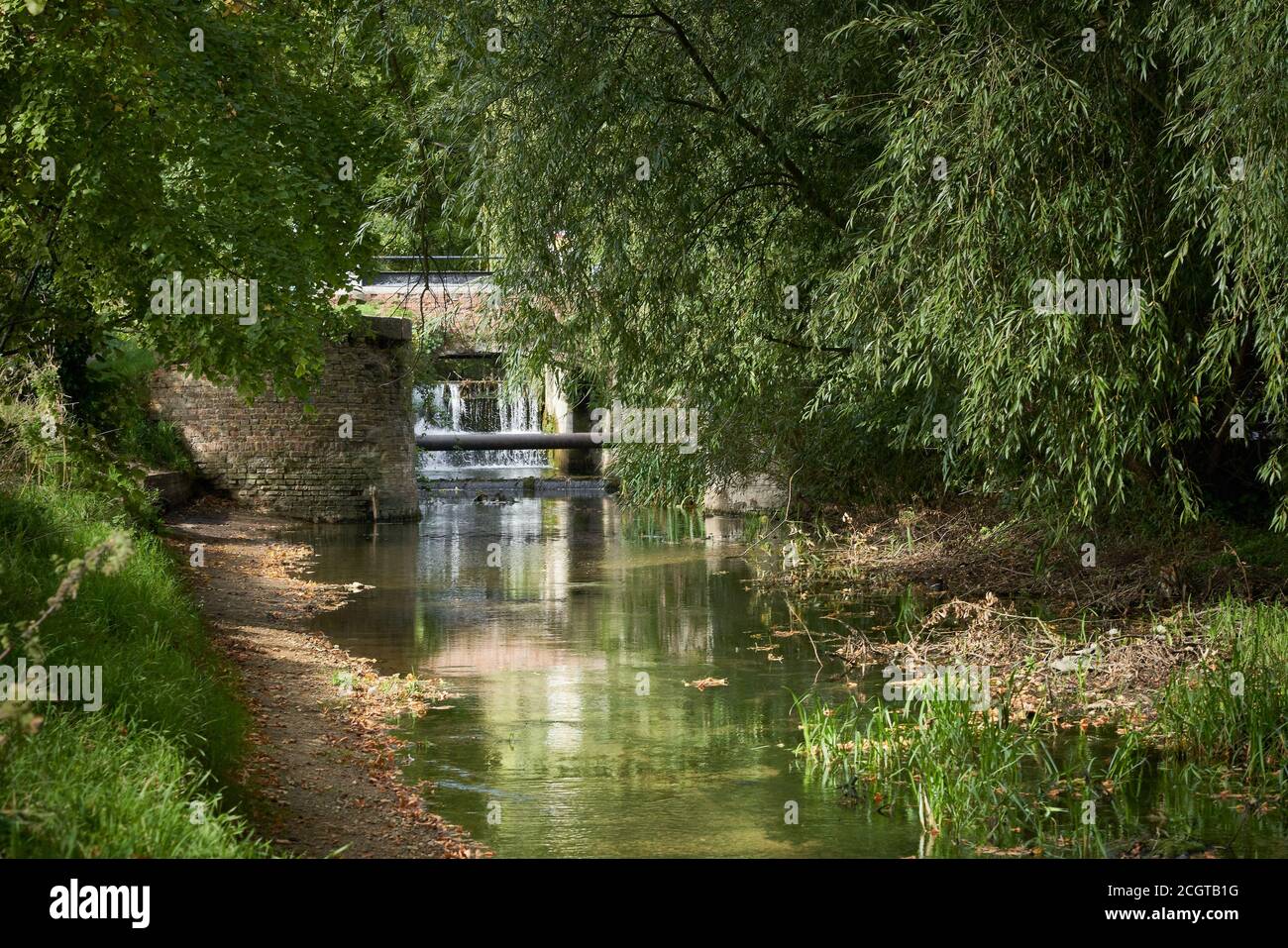 The bridge at Cogglesford mill Sleaford Lincolnshire seen from the River Slea in late summer with a variety of overhanging trees Stock Photo