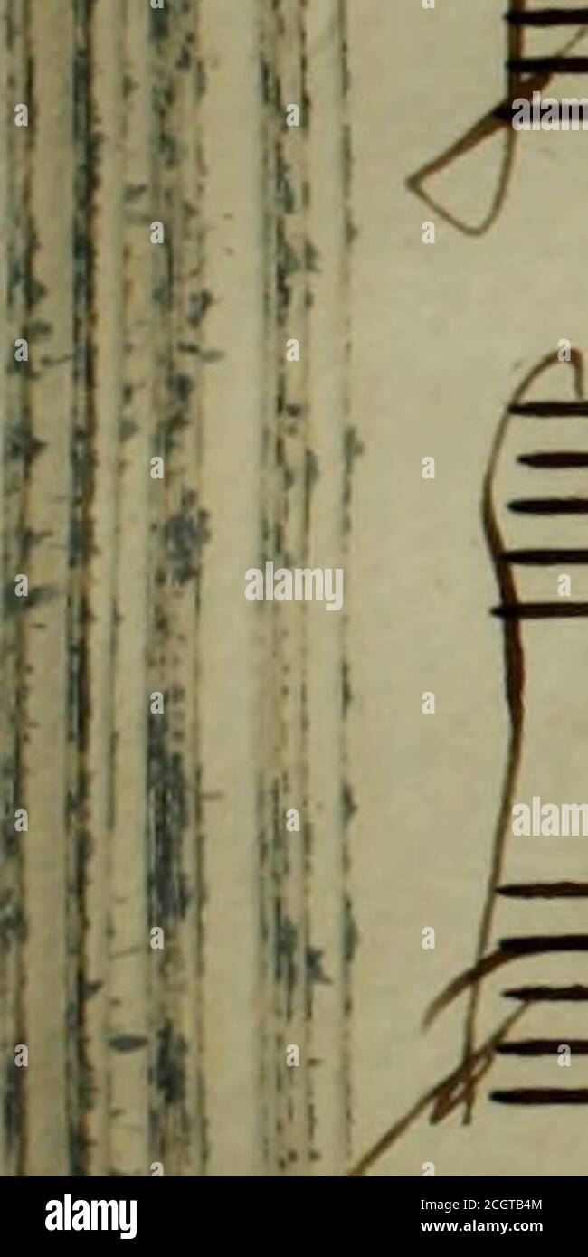 Il Socrate Immaginario Se F A T I H I J Ujjr V I H Ma I 1 V 1 1 1 M Ii 1 Il I I