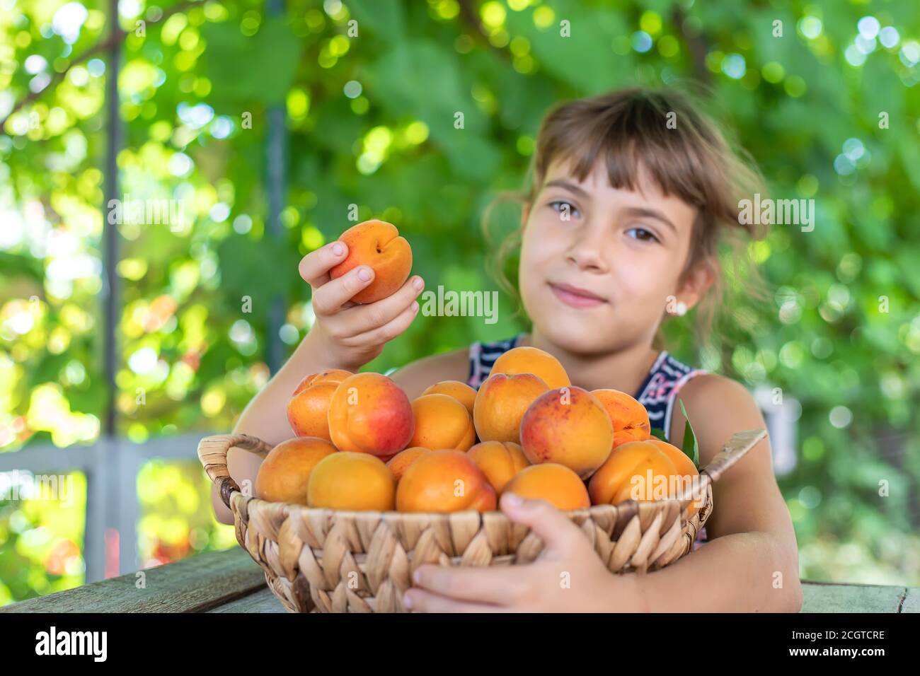 Little girl eat apricot fruit hires stock photography and images Alamy