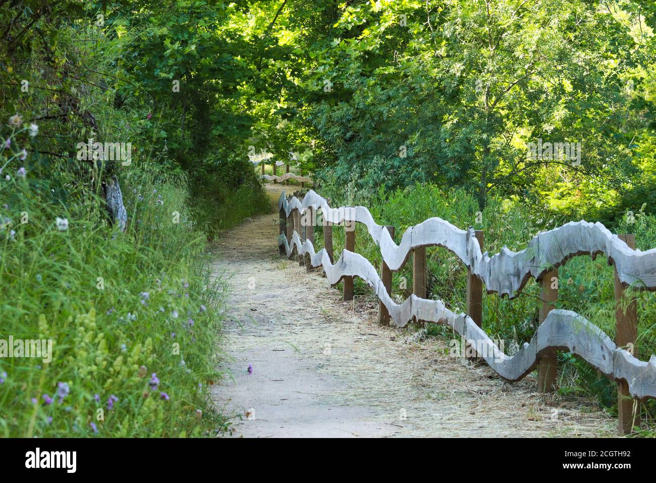Amazing path in the countryside. hiking trail Surrounded by vegetation ...