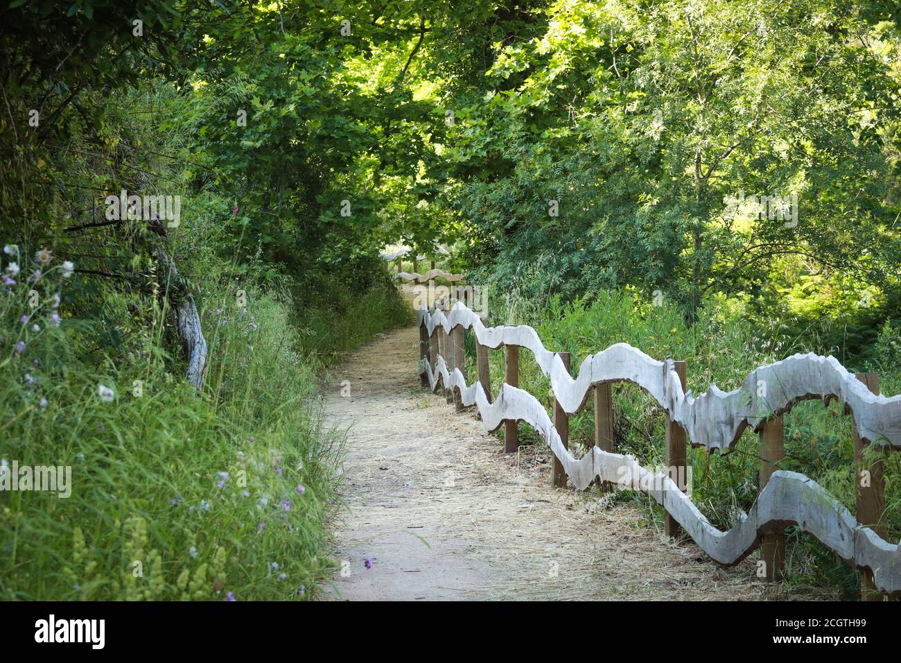 Amazing path in the countryside. hiking trail Surrounded by vegetation ...