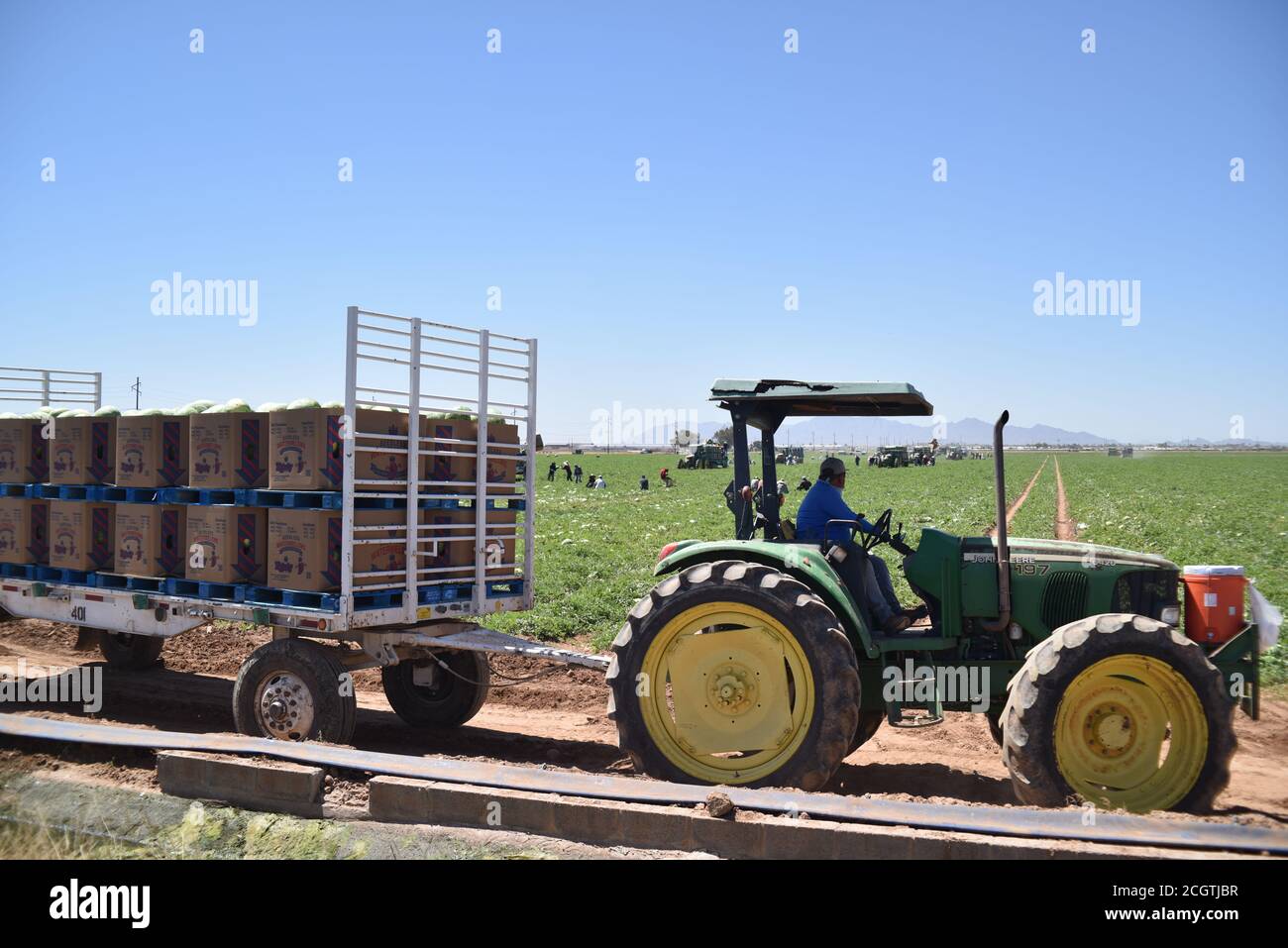 Arizona water melons hires stock photography and images Alamy