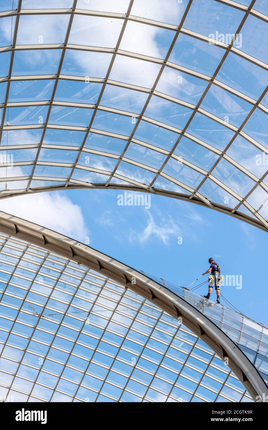 Shoppers are unaware of a  man as he cleans one of the 2800 glazed panels that make up the glass atrium at Cabot Circus in Bristol. Stock Photo