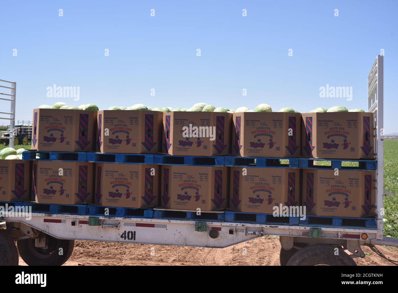 Arizona water melons hires stock photography and images Alamy