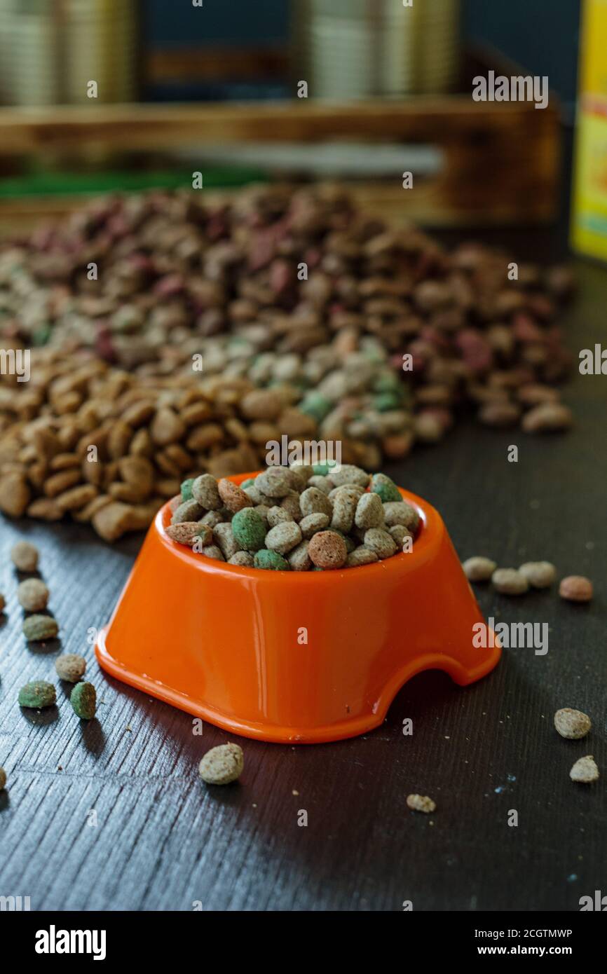 Pet food in bowl for cat and dog Stock Photo Alamy