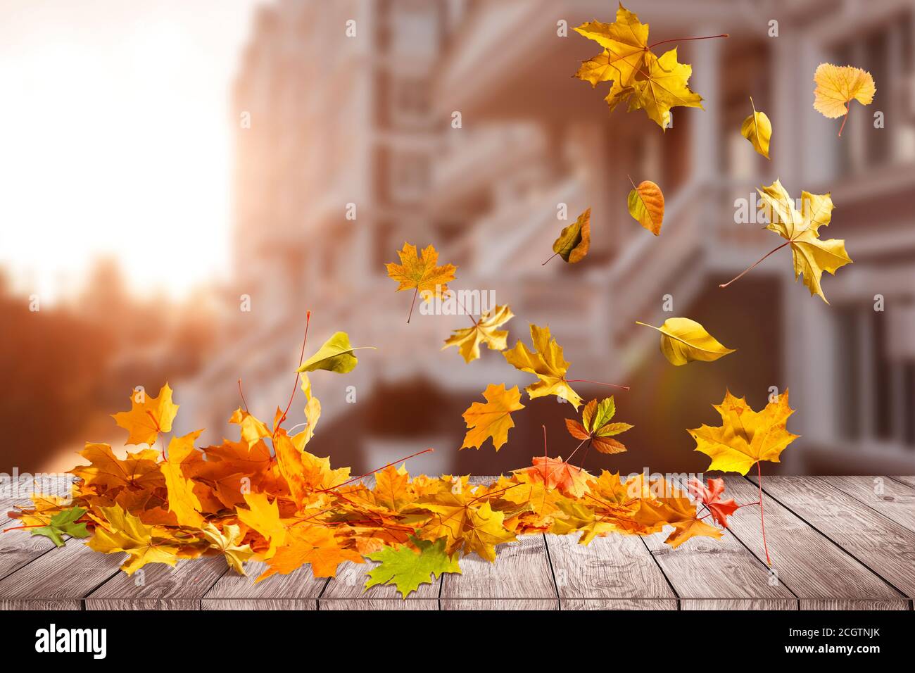 border frame of colorful autumn leaves isolated on white Stock Photo ...