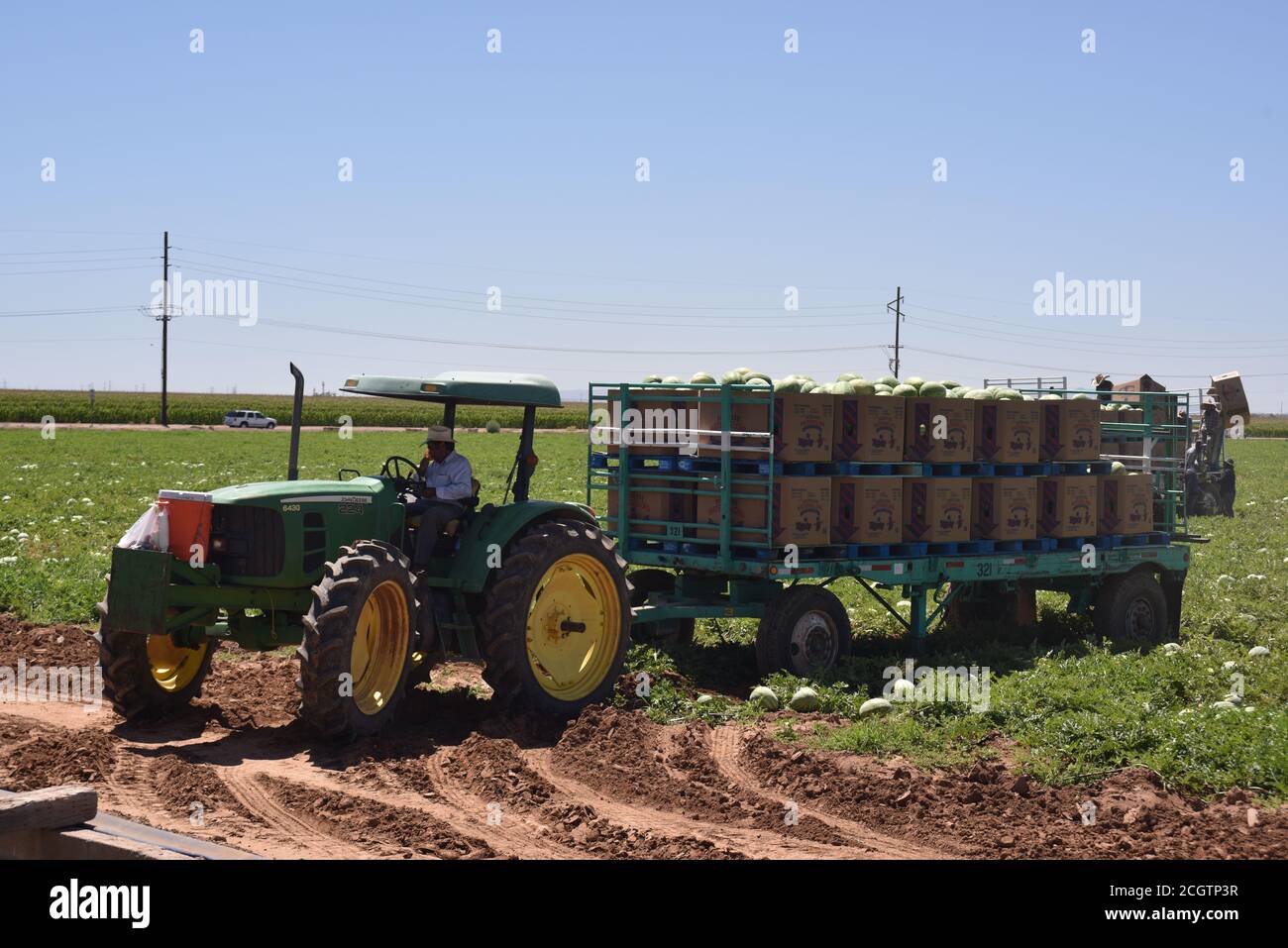 Arizona water melons hires stock photography and images Alamy