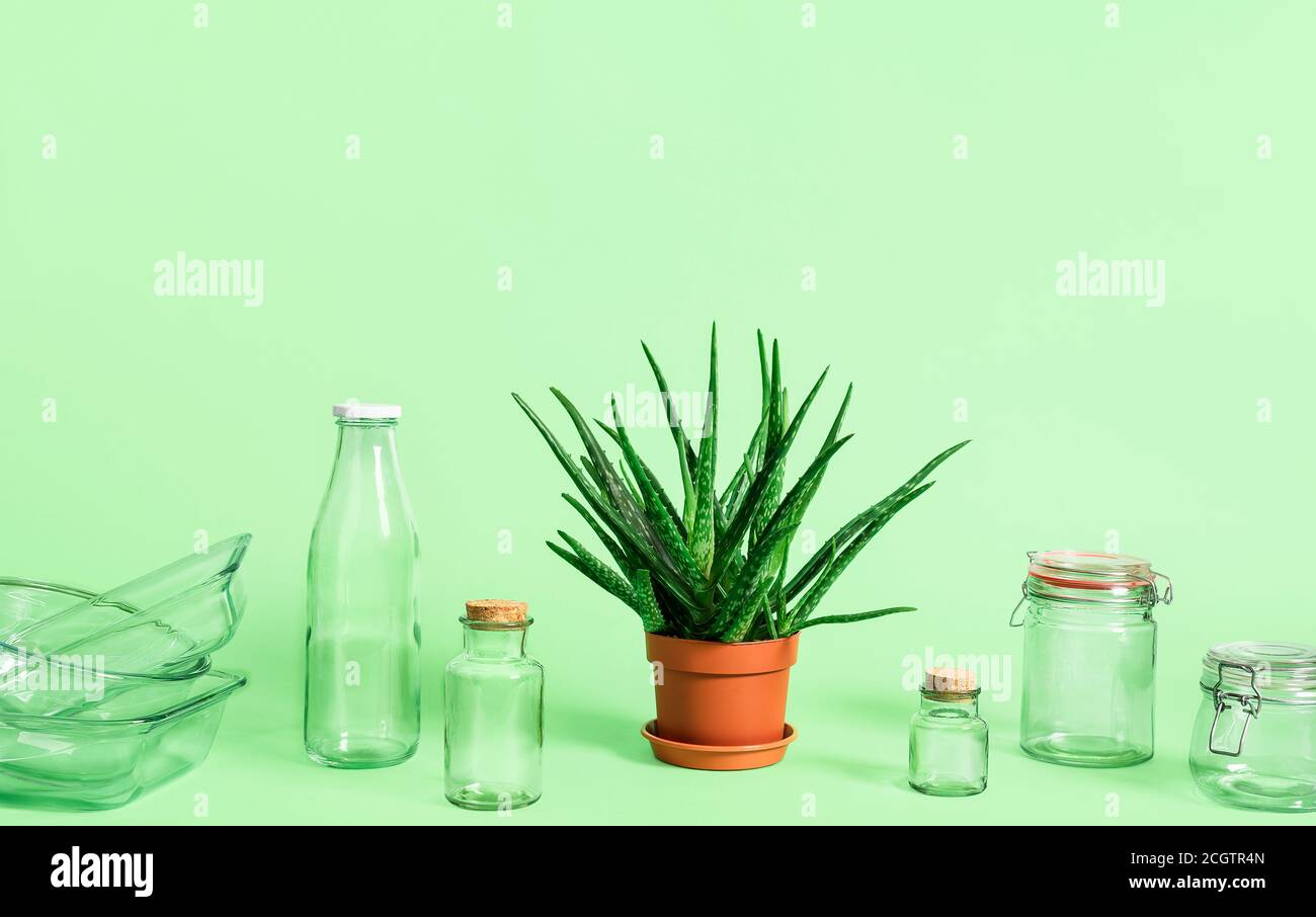 Plastic-free household objects and green plant isolated on green background. Sustainability concept. Reusable glass containers. Sustainable lifestyle Stock Photo