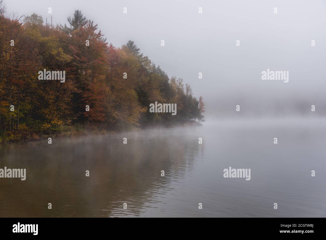 Lake with wooded shores covered with thick morning fog in autumn Stock Photo