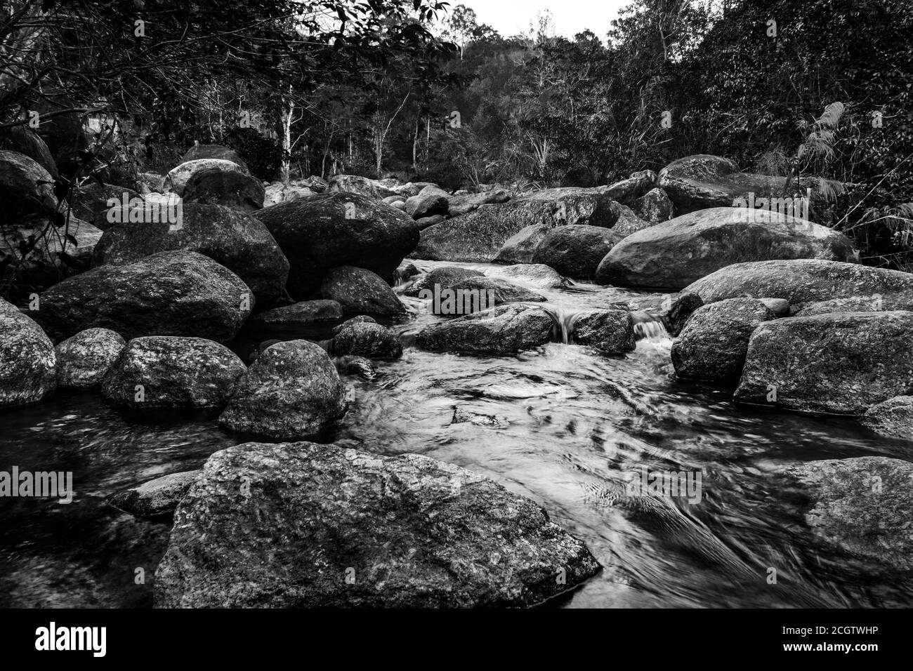 River stone and tree colorful, View water river tree, Stone river in
