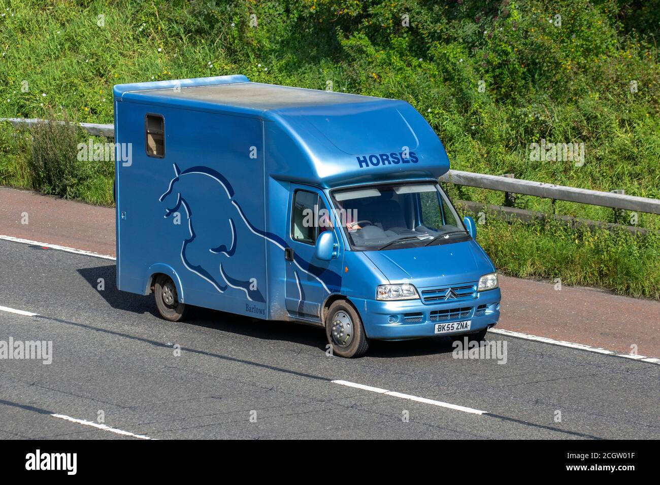 2006 blue Citroën Relay 1800 TD HDI LWB Barlows horsebox van; Coach built and conversion equine animal transport travelling on the M6 motorway, Lancashire, UK Stock Photo