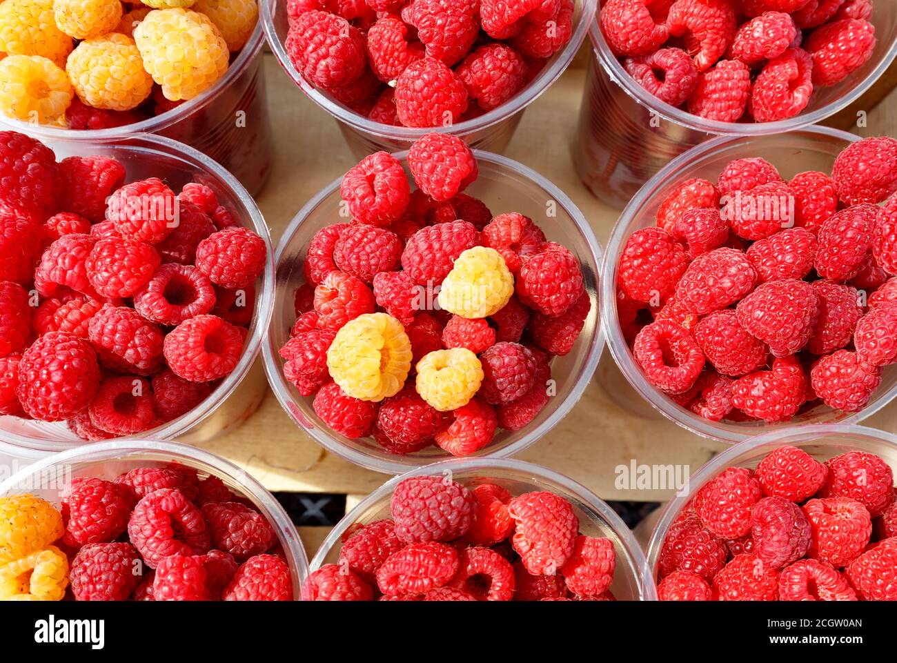 Red Andyellow Raspberry Red and yellow raspberries are collected in plastic cups and sold in ...
